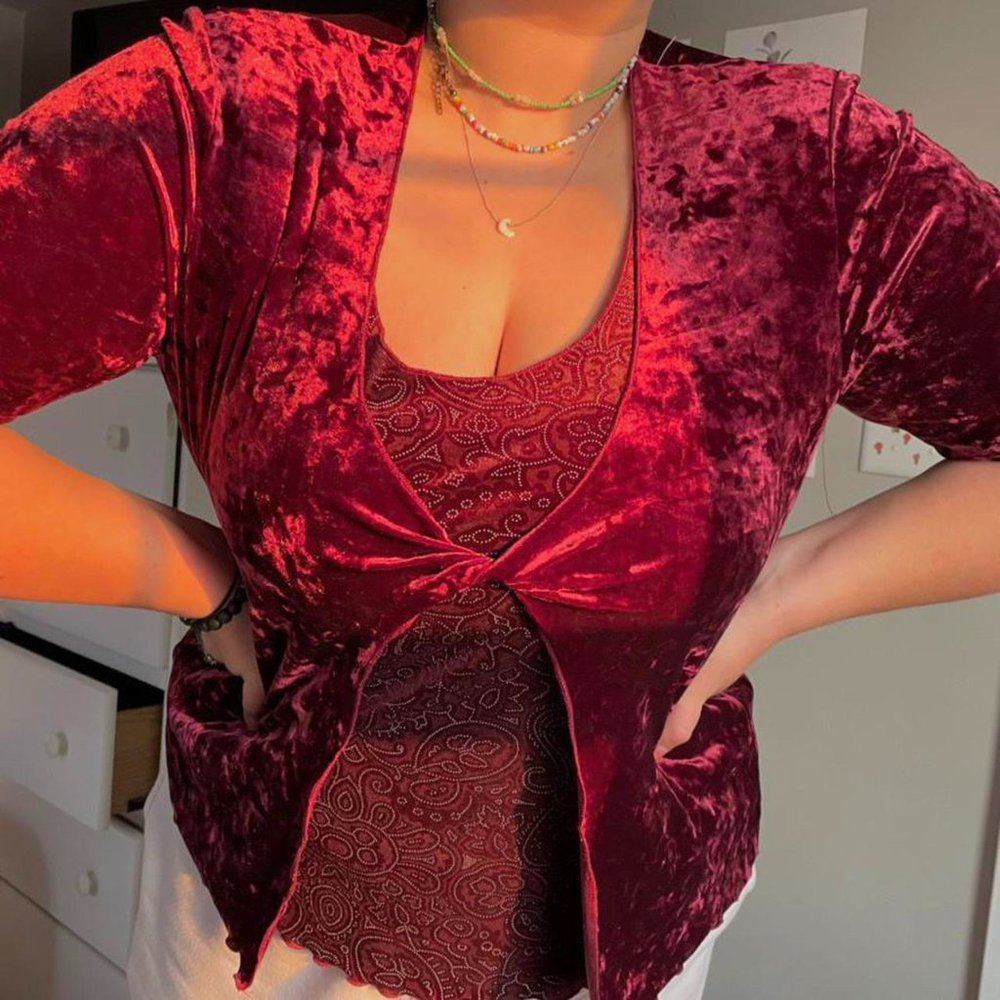 vintage fairy core red velvet fashion bug brand long sleeve top
